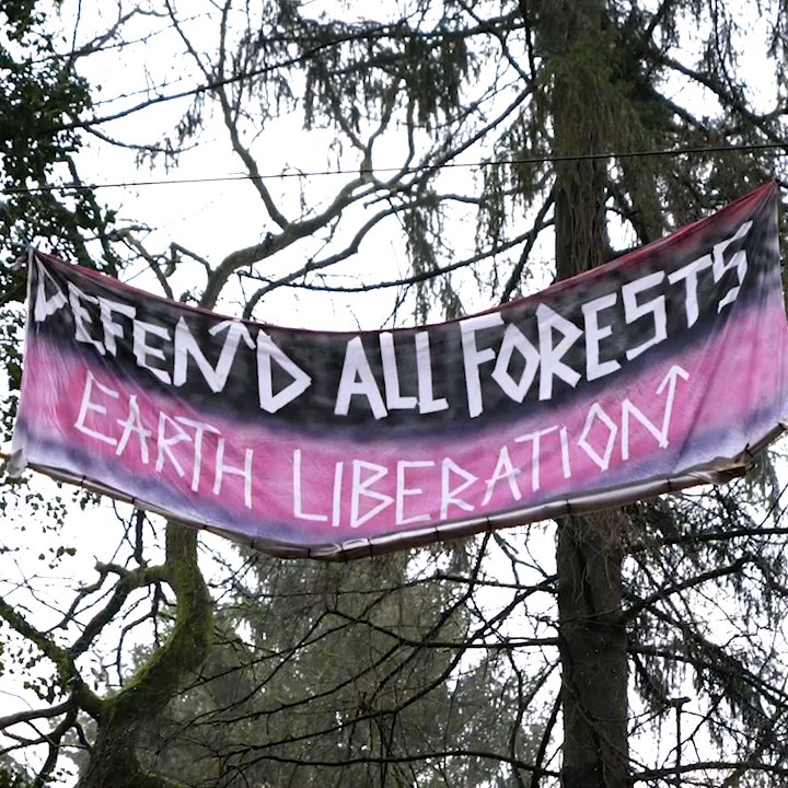 OsterholzBarrio's tweet photo. NOCH steht der Wald! Kommt vorbei und unterstützt uns bei der bevorstehenden Räumung! Der Verdacht, dass es kommende Woche los geht, verhärtet sich mehr und mehr...
#defendallforests
#osterholzbleibt
#allewälderbleiben https://t.co/uKMU9XZ9dC