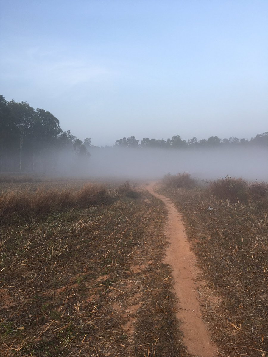 DeeptaSateesh's tweet image. after 4 months... back to #morningwalk #fullmoon #wolfmoon #mist #misty #wetness #odde #wetontologies #cloudwalking