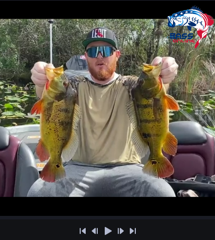 Bassonline's tweet photo. 😱🔥Bucket List Trip of his LIFE🔥😳 - #Peacockbass and #largemouthbass on a four day charter. How did it go? Let's here it from Jarret, video tells the truth🤩🥰💪🏻, 
Arrange yours today 👍!

#bucketlist #bucketlistadventures #bucketlisttravel #bucketlistideas #bucketlistlife https://t.co/WWcHaXH5uH