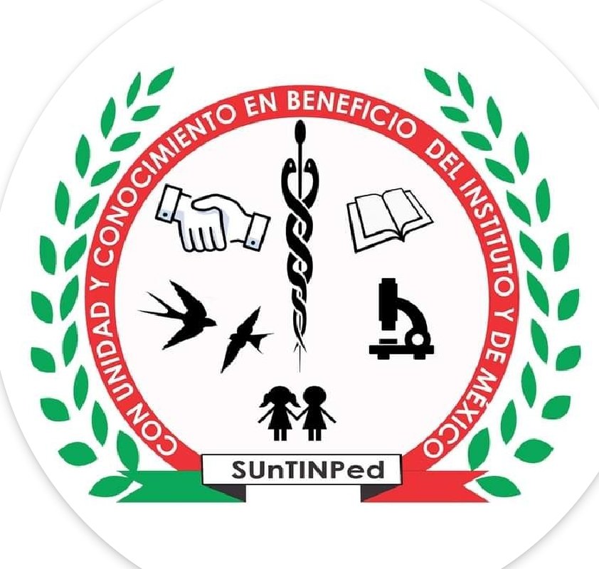 gace11a líc. lմcíα ѵάzզմҽz ตαɾԵí́ղҽz tweet media