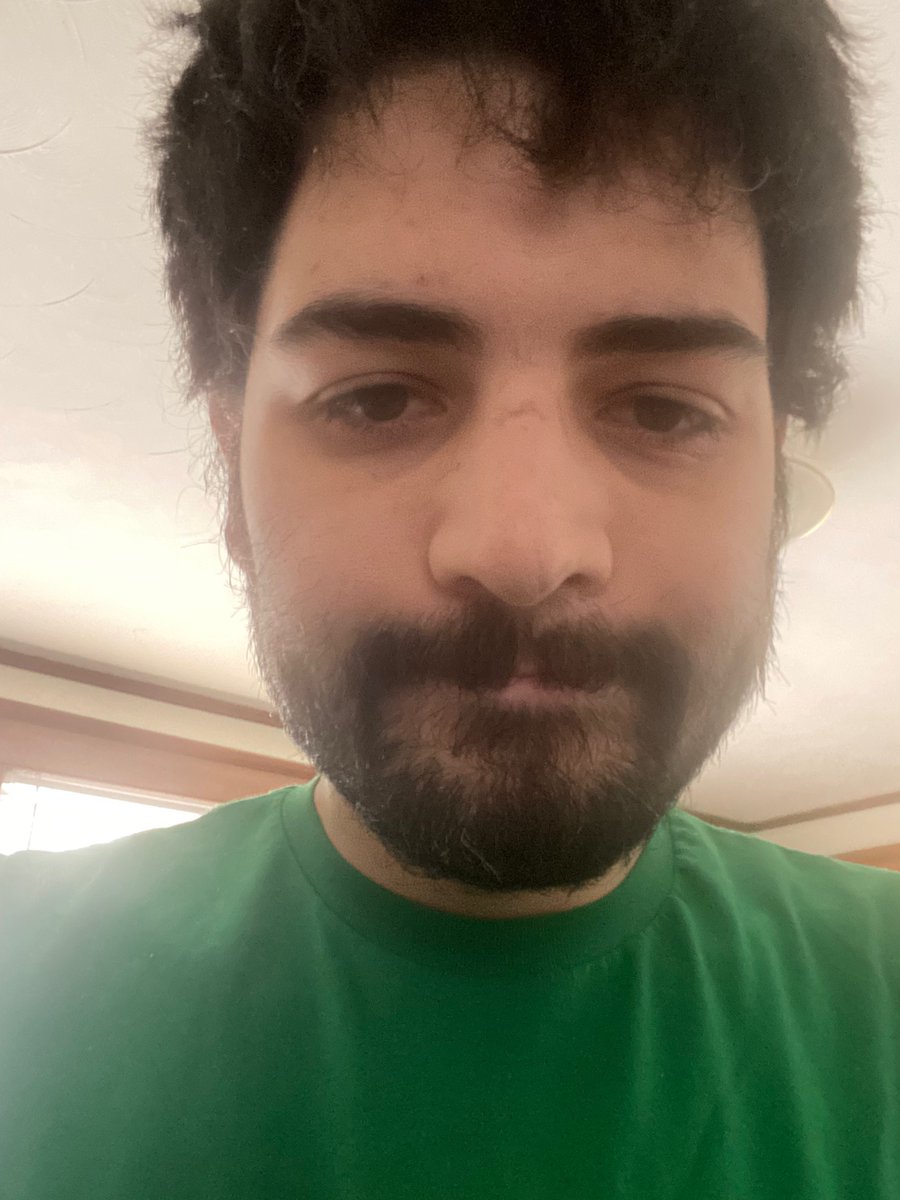 dogcatmatt tweet media