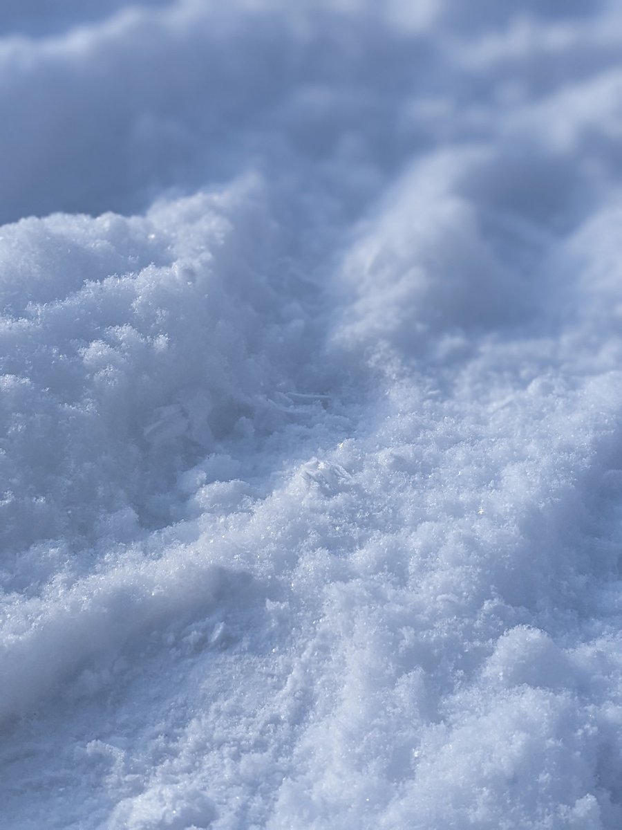 VincentDerozier's tweet photo. Few snow refs, should go take some properly with my camera.
#texturelife #references #quebec #snow #material https://t.co/UpLUHpcXer