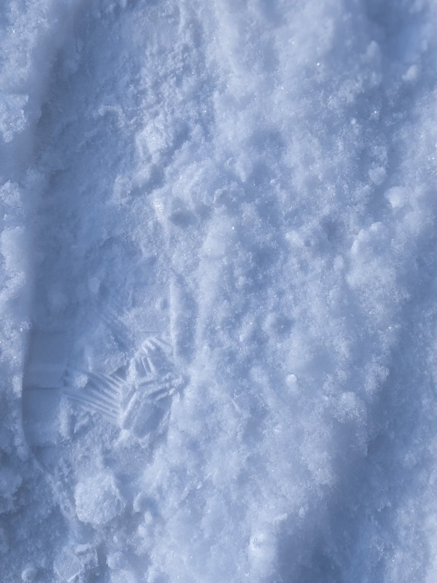 VincentDerozier's tweet photo. Few snow refs, should go take some properly with my camera.
#texturelife #references #quebec #snow #material https://t.co/UpLUHpcXer