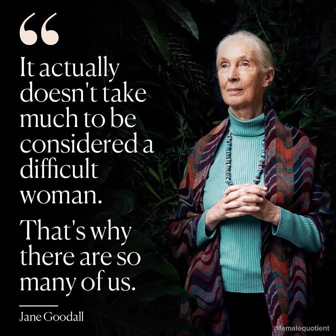 Raise your hand if you're a 'difficult' woman 🙋🏿‍♀️🙋🏾‍♀️🙋🏽‍♀️🙋🏼‍♀️🙋🏻‍♀️