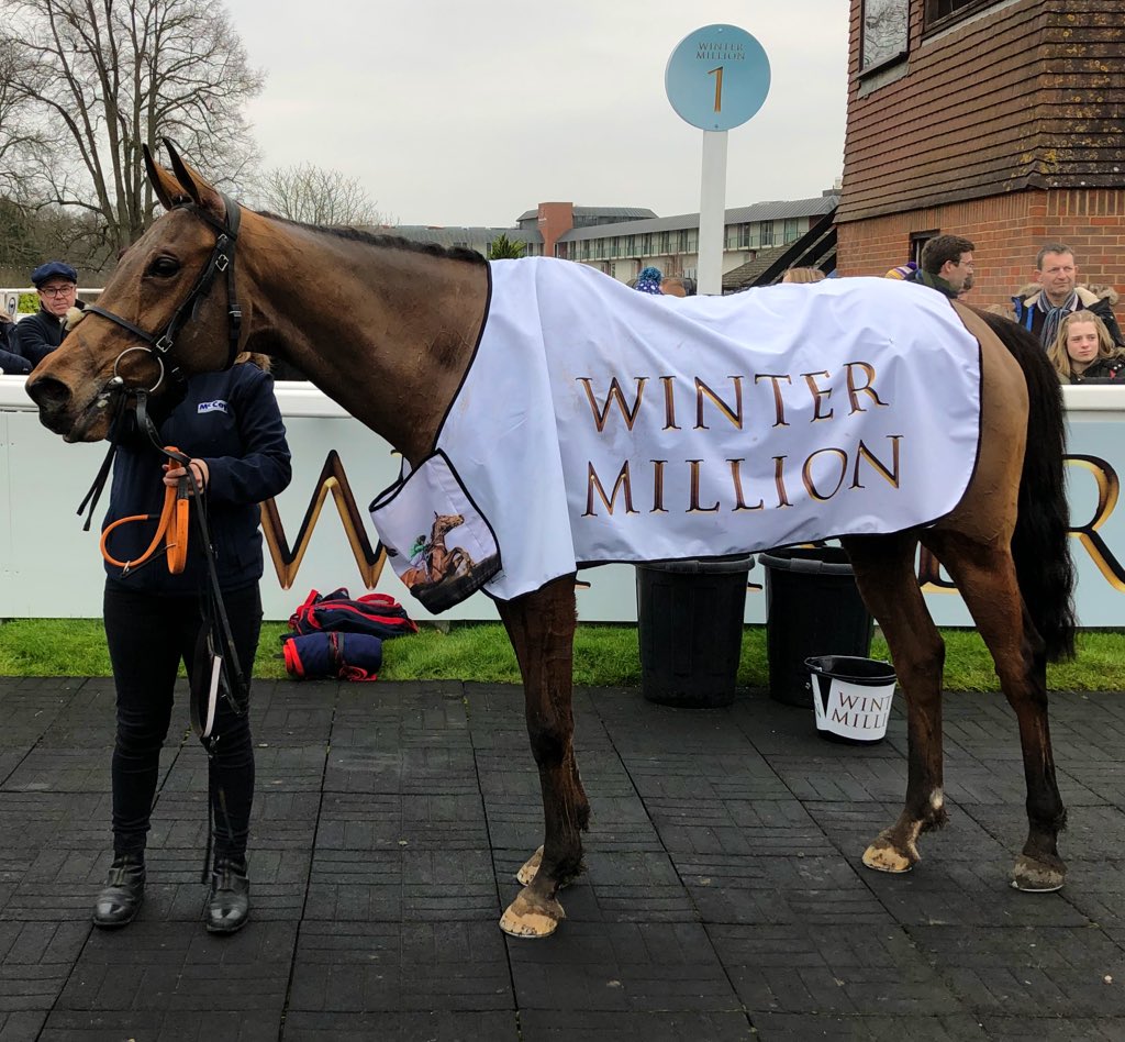 Many congratulations to Brewin’upastorm @O_J_murphy91, @BarbaraHester0 & @AidanColeman - after the gelding put in an excellent performance to take the £100k Weatherbys Cheltenham Festival Betting Guide Hurdle @LingfieldPark today.