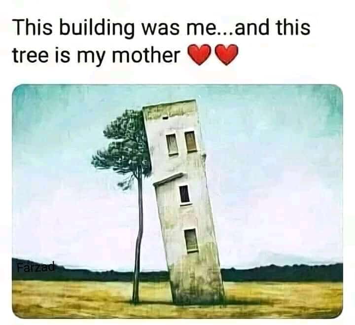 Mother is the most precious person 
That cannot be described in words 
Start to end she's the real life❤
Mom xafidullah🥰❤