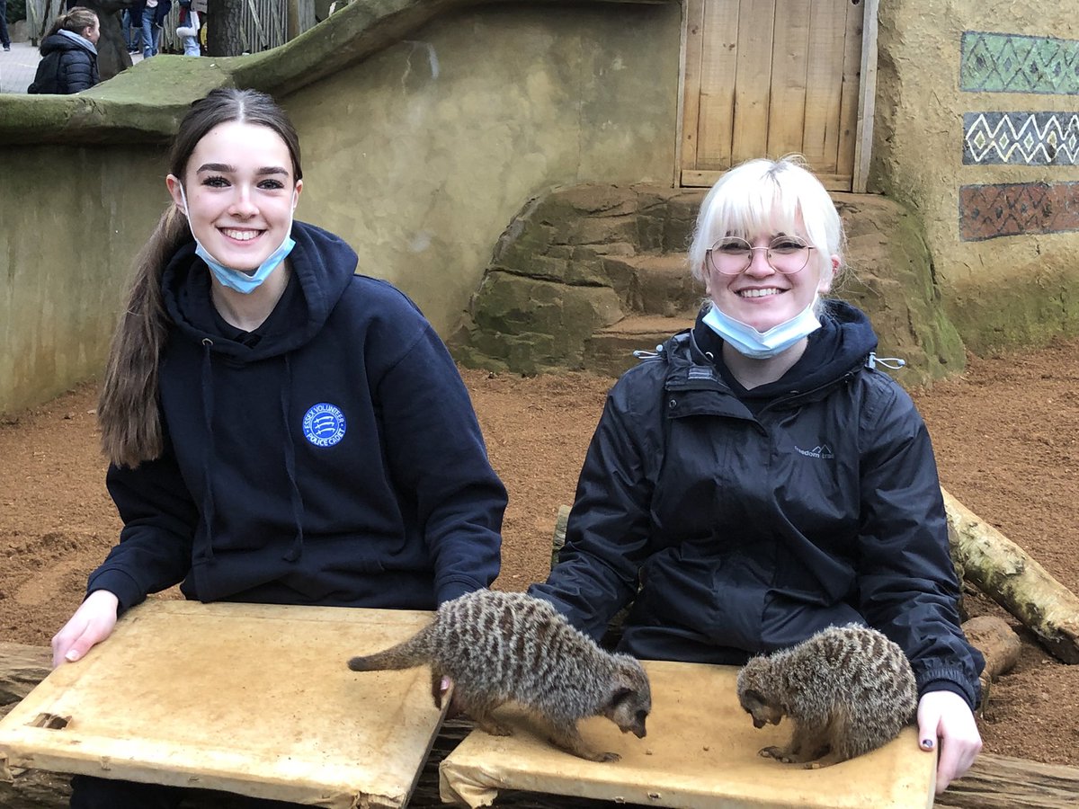 ColchesterVPC tweet media