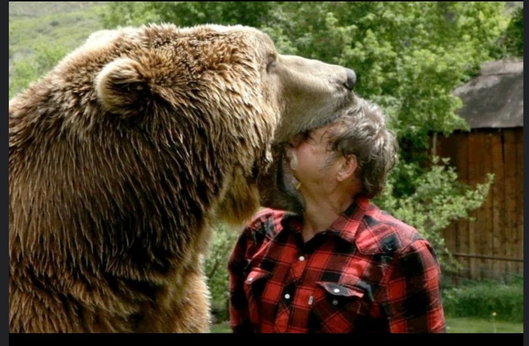 #btc #kripto mega boğa beklerken ayı fena geldi. 🐻 #bear #hug
