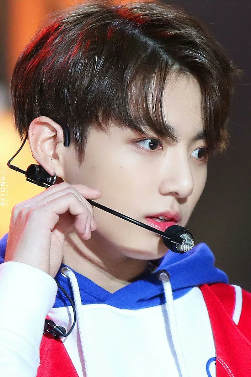 picsofkook's tweet image. 