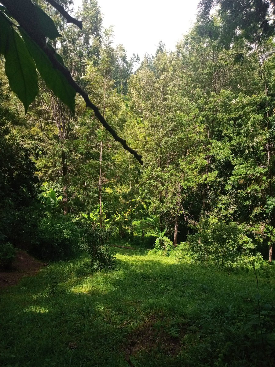 MуЦангаX гYųYā tweet media