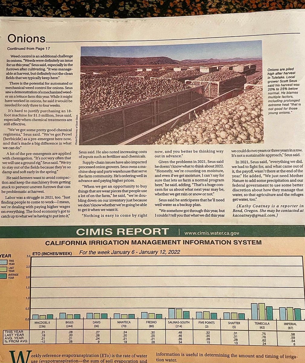 PanellaTrucking's tweet photo. We spy 🕵️‍♂️ some @panellatrucking trailers in the latest @cafarmbureau Ag Alert issue.  Check out this article about the challenges for onion 🧅 farmers in California.  The article is also available online @cafarmbureau 
 #aghauler  #agriculture #onions #thankafarmer #thankatrucker https://t.co/RsXxAf7ES9