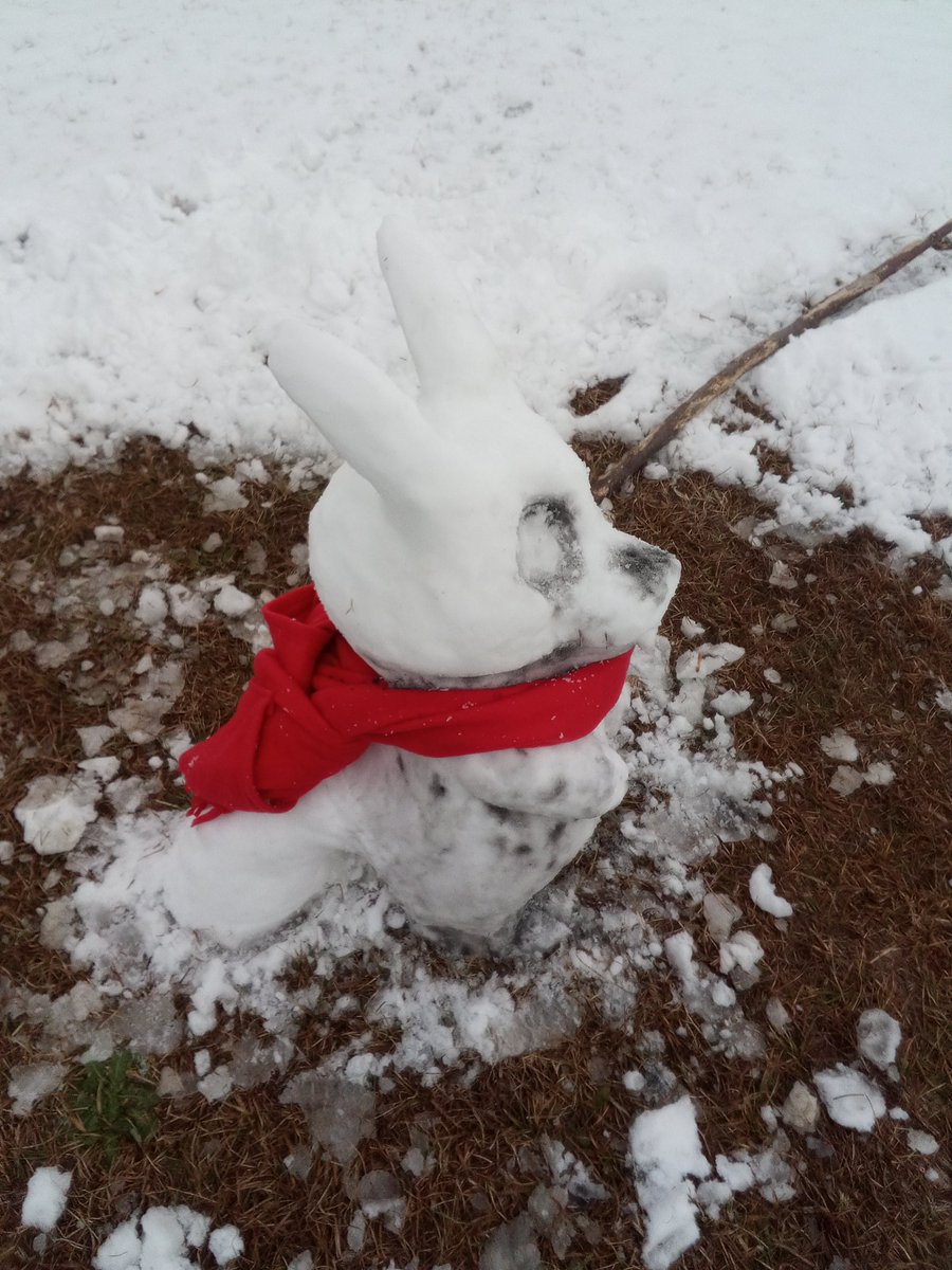 MinimandyG's tweet photo. I present to you the Snow king! Bask in the presence of snow King and all of its glory.
King belonging to @DanaTerrace
#toh #theowlhouse #snowman #minisnowman #snowday #theowlhouse #TOH #theowlhouseking #king #kingclawthorne #snowking https://t.co/4IgZnO7Vy7
