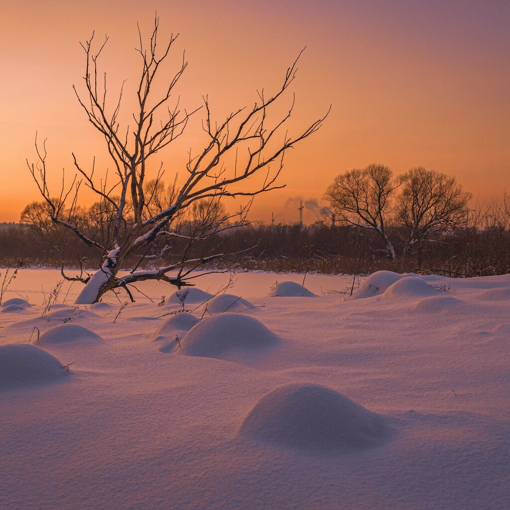 Winter eggs #Moscow #Region #river #snow #riverside #sunset #sundown #sun #frozen #frost #evening #picoftheday #landscape #winter #wintervibes #orange #snow #ice #dune #comet #lookup