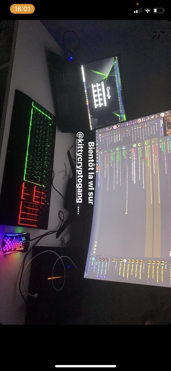 DOFL4MINGO tweet media