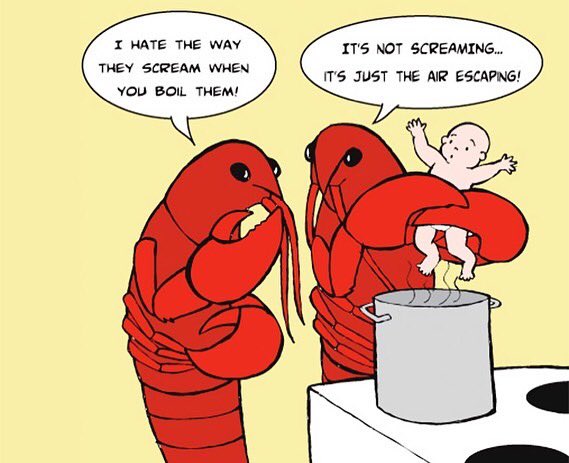 animals_innocent_creatures tweet media