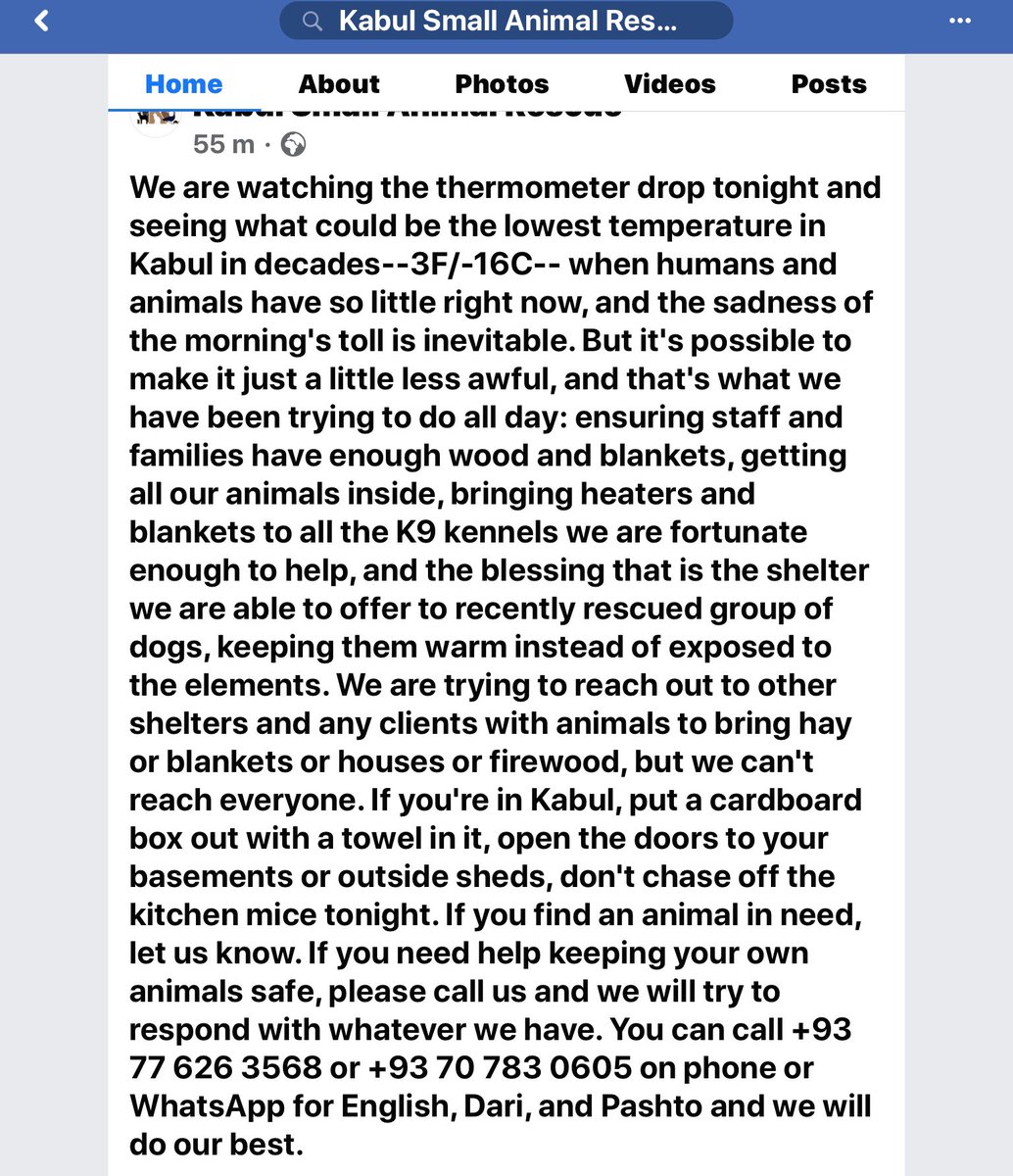 ZeeShore's tweet photo. KSAR in freezing -16c is sharing resources through Kabul best they can. Let’s share in their amazing #genorosity by helping complete their evac. SPCA & KSAR pulling together. Retweet.donate.
https://t.co/mG4Skbvalt. https://t.co/OghBrHfsXN