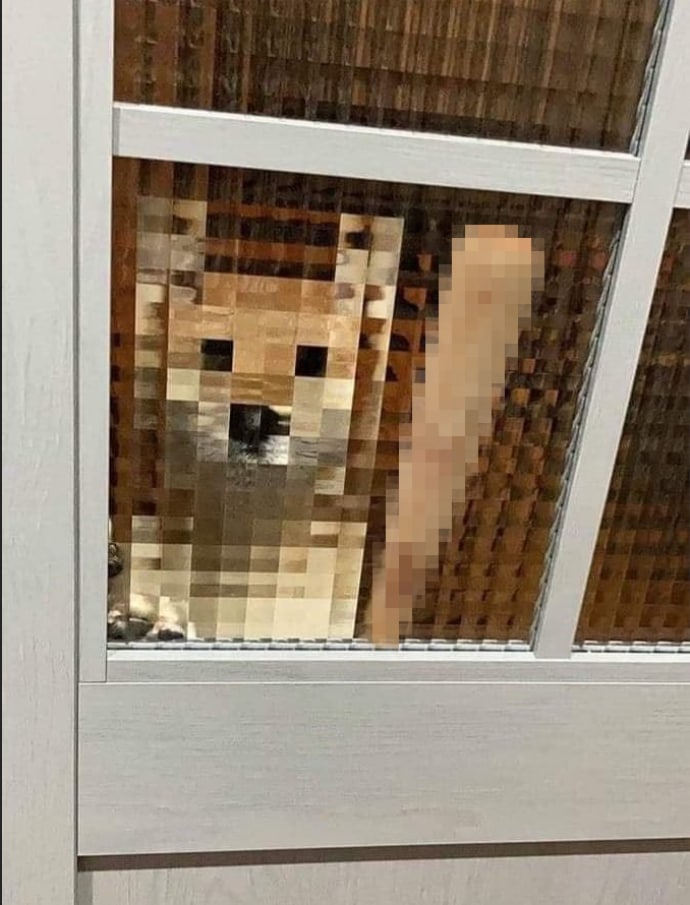 Hugh Jass 🧀💊 tweet media