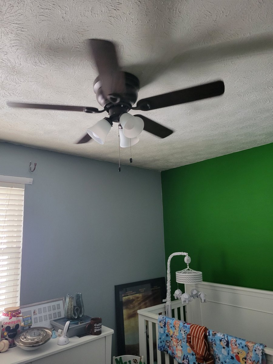 JimBobDadMan's tweet photo. Coops fan had a light bulb out. Got mad at the fan while trying to change it so I ripped it down and put a whole new fan up. #DoingDadStuff (took me over a month maybe two if you ask the wife to put it up but that doesn't matter I done did it) https://t.co/DmUzKdz94i