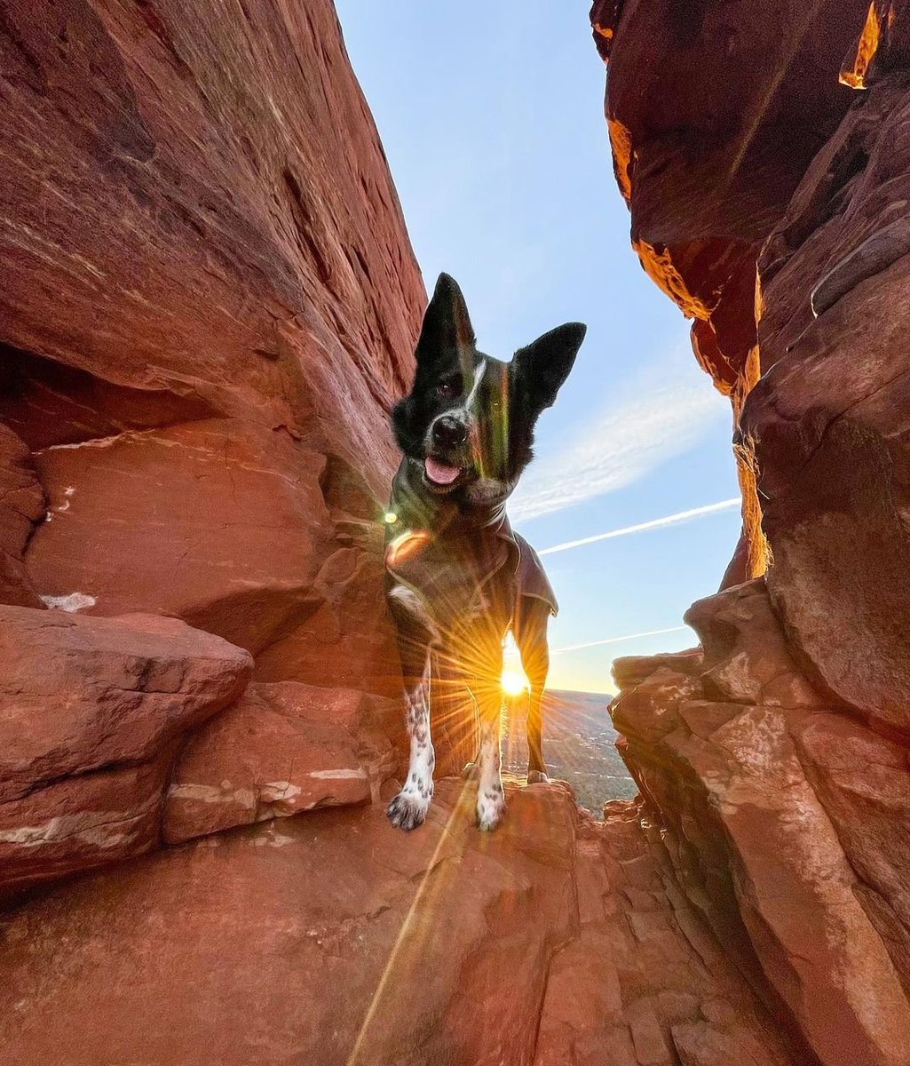 A ray of sunshine 🌞 

Instagram.com/desert.duo

#hurttaamerica