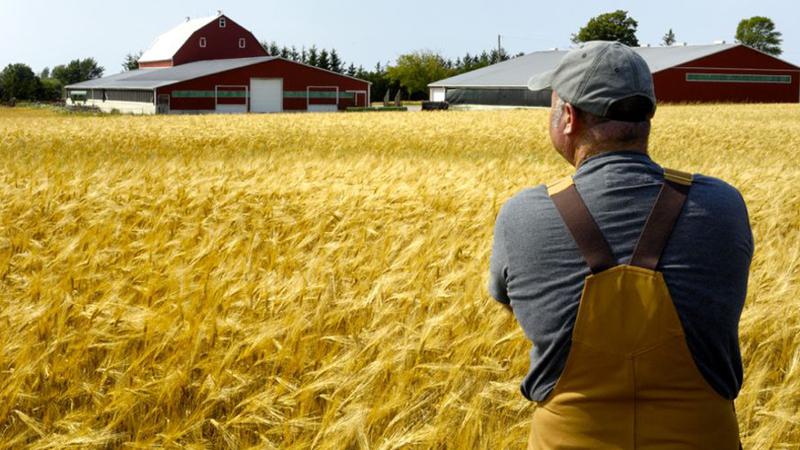 From the ground up: mental health support aid for farmers moves onto next phase dlvr.it/SHfqxY