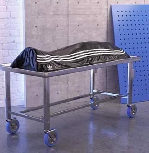 [Image: FJzmKxRXEAAfdq0?format=jpg&name=small]