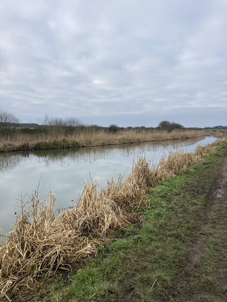 E Hurrell tweet media