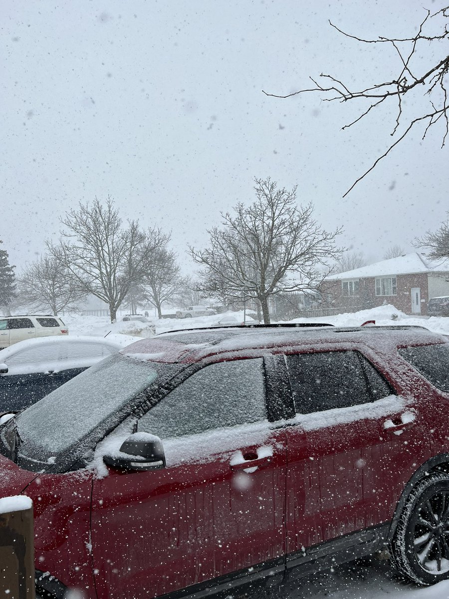 britttxo03's tweet photo. Woohooo more snow ☃️❄️ #WinterWonderland #snow #Ontario #Canada #beautiful https://t.co/xeEp5kLaHi