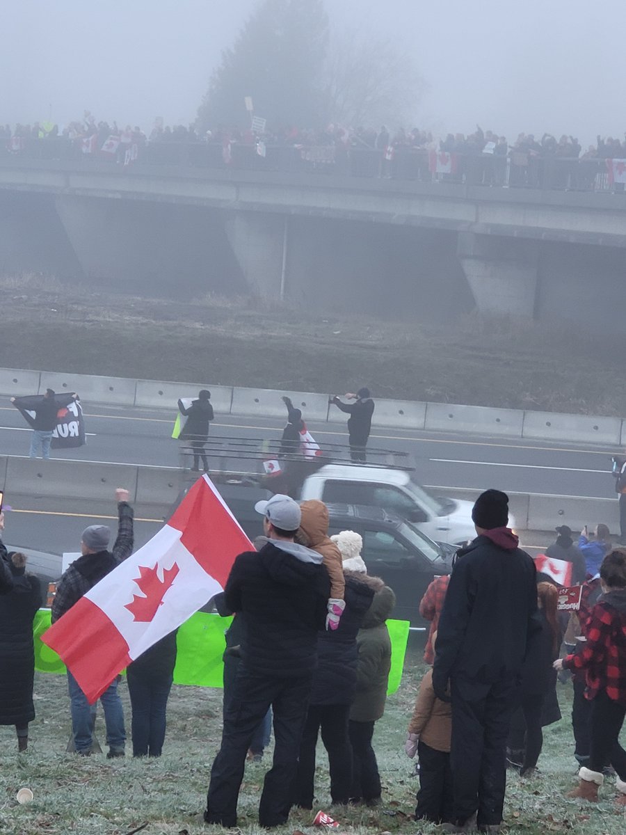 Steve Brown tweet media