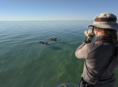 AnimBehSociety's tweet photo. Tune in tomorrow (Monday Jan 24) for our next #ABStakeover with Taylor Evans @TCamille22! Get ready to learn &amp; chat about #dolphins, #social #behavior, #personality, and the importance of long-term research! https://t.co/B3FKEqmygK