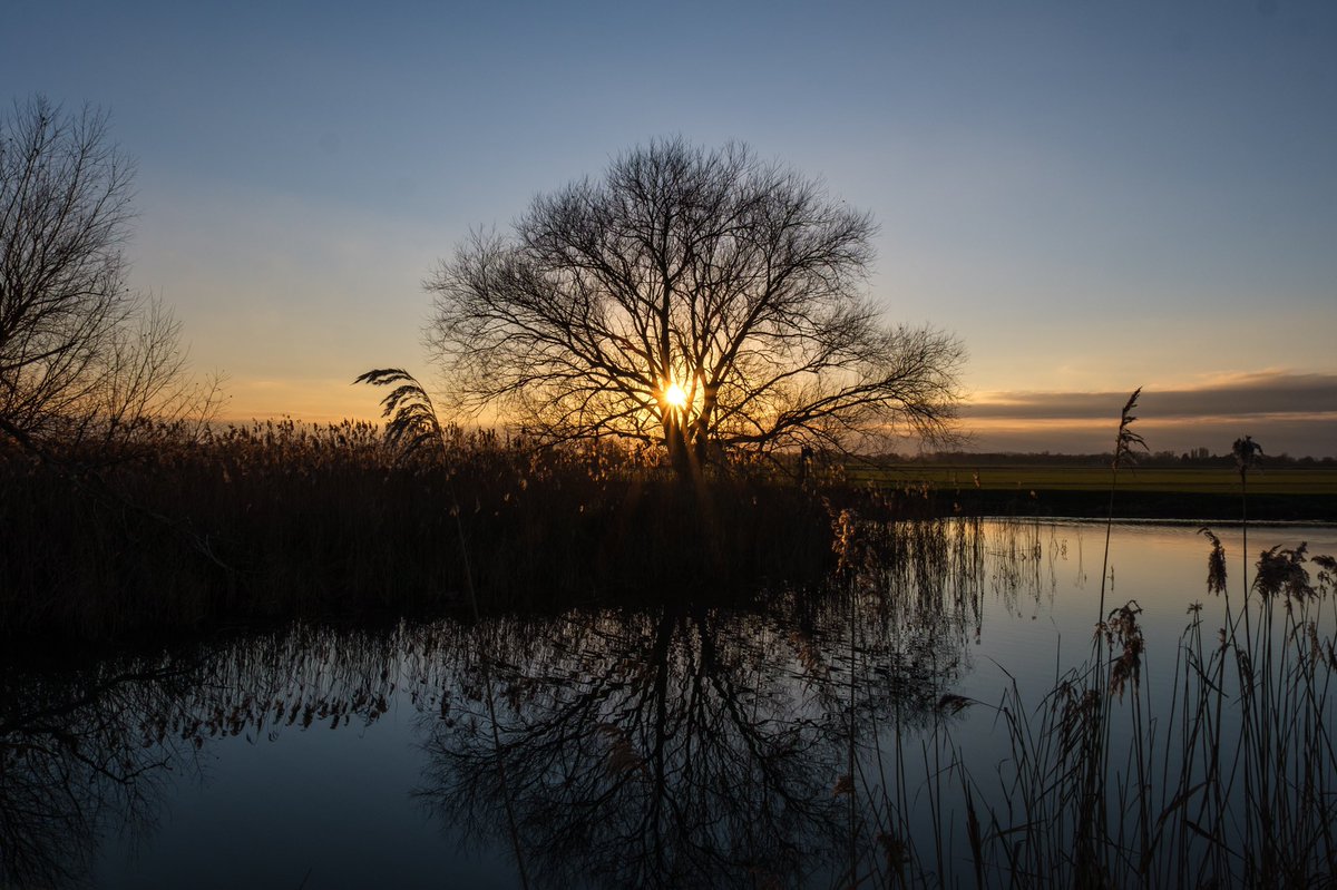 nigelgutgenug's tweet photo. Wicken Fen Nature Reserve, Cambridgeshire.
@FascinatingFens @WickenFenNT
#TheFens #FascinatingFens #Fenland #Cambridgeshire #wickenfen #fujifilm #fujifilm_xseries #fujinon #sunset #winterlight #outsideisfree https://t.co/o0Uag7RAsb