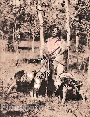 Native3rd's tweet photo. “If there are no dogs in Heaven, then when I die I want to go where they went.” ~Native American https://t.co/QFANzXIhpl