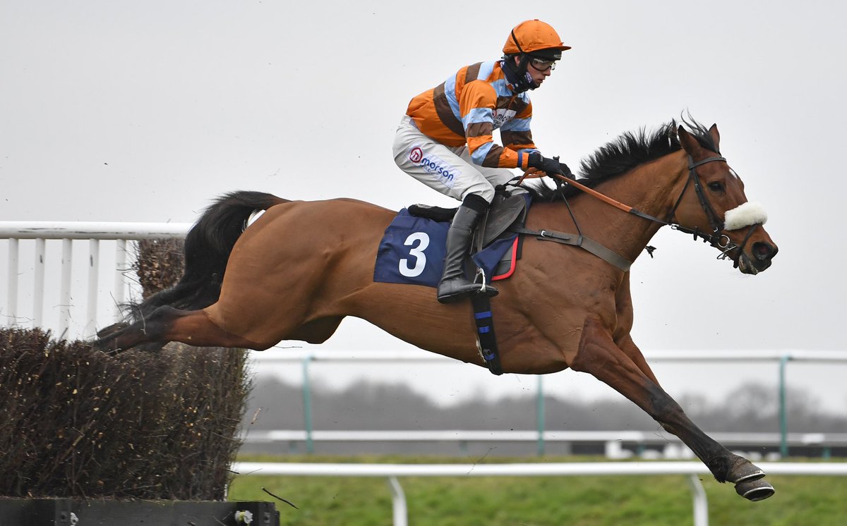 FrancescaJane_x's tweet photo. Master Tommytucker was one of those horses who you couldn’t help but love. Thoughts with his owners, @scottmarshall31 who looked after him and everyone at @PFNicholls tonight. Run free Tommy 🧡 https://t.co/bEKZtteeoe