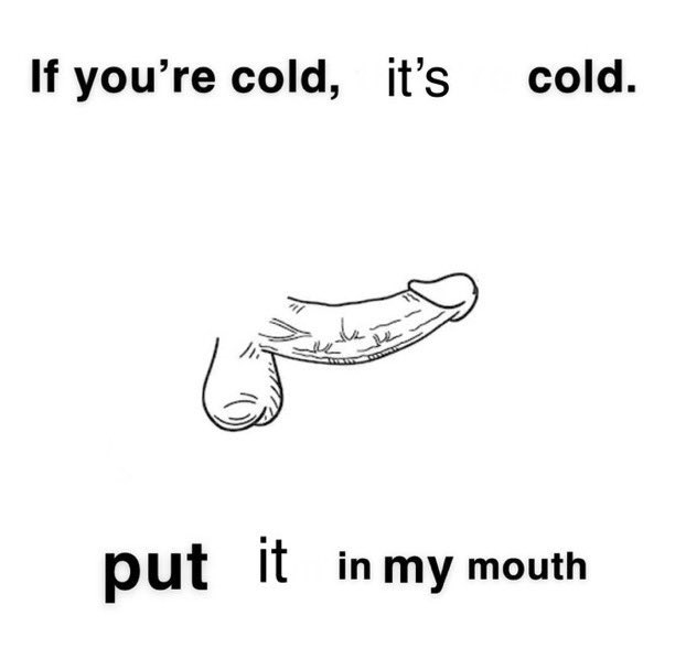 Progchamps's tweet photo. Ladies, please don’t let yourselves freeze this winter 😇 https://t.co/FMJrQeZ4kV