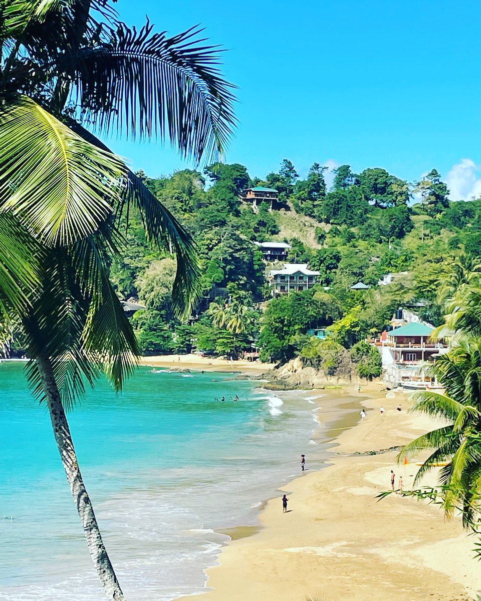 Bacoletplayer's tweet photo. Sunday sceneβ¦. fortunately our football result 4500 miles away! π΄π΅πΉπΉππ #cpfc #islandlife #castara https://t.co/98jIMFLVh8