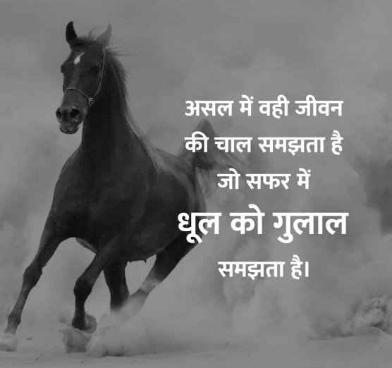 parkhe_ram's tweet photo. Motivated ✌️ https://t.co/ajlBXJOBl1