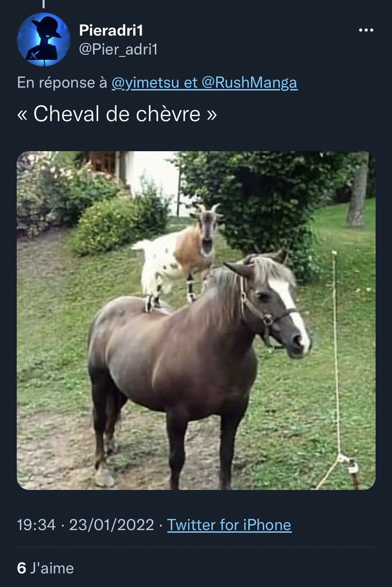 J’ai vraiment hurlé sur ça? J’ai 5ans