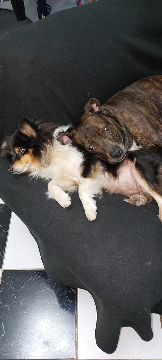 In a world of evil, there is always beauty. My two best pals, preferred to most people.