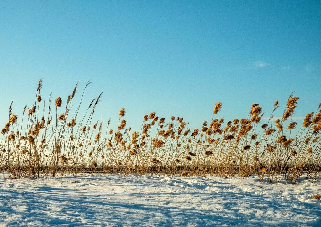 samuelmh's tweet photo. Sometimes I prefer something simpler
.
.
.
#minimalist #pastel #contemplation #contemplative #contemplativephotography #winter #longueuil #longueuilphoto #light https://t.co/9rlhQPxqQA