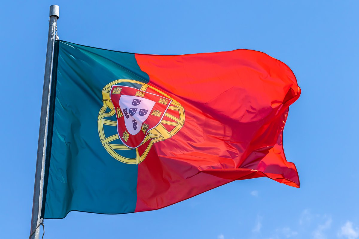 SEEIT to invest €22m in Portuguese biomass project: bioenergy-news.com/news/seeit-to-… #biomass #bioenergy #biomassplant