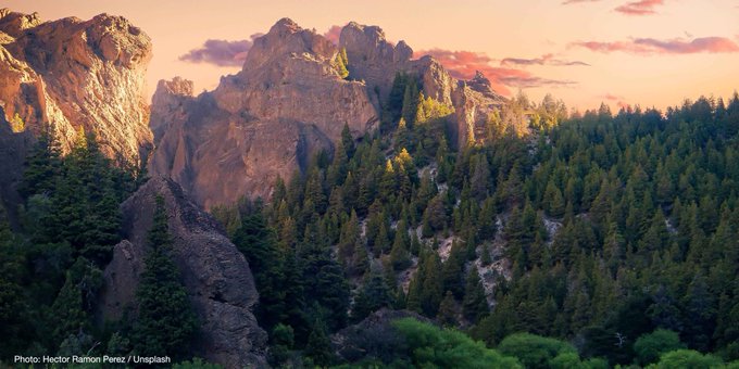 IUCN's tweet photo. Well-applied rewilding can restore ecosystems, help fight #ClimateChange, and provide socio-economic opportunities.

Its misuse can harm biodiversity, learn more in our Issues Brief https://t.co/zsIwIjbkLb https://t.co/TJBvmfmL9Q