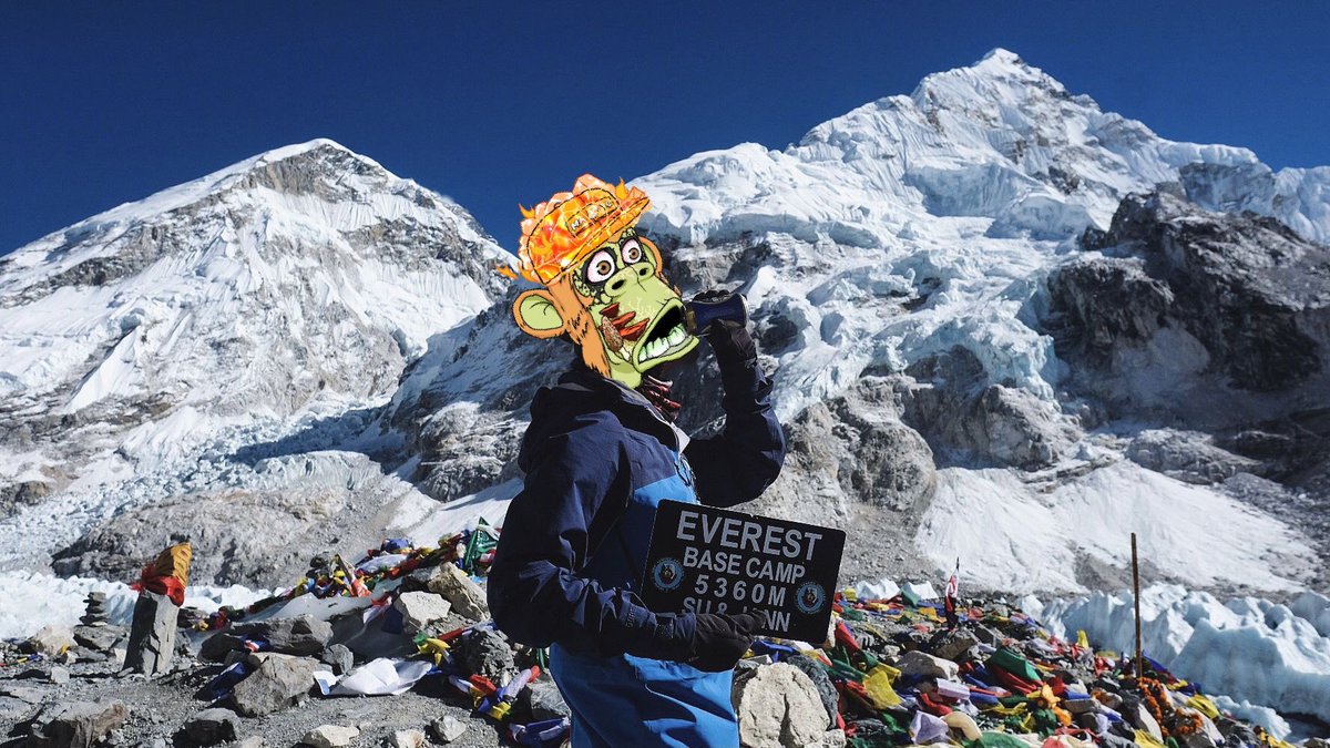 Ξinsteinho🍌 tweet media