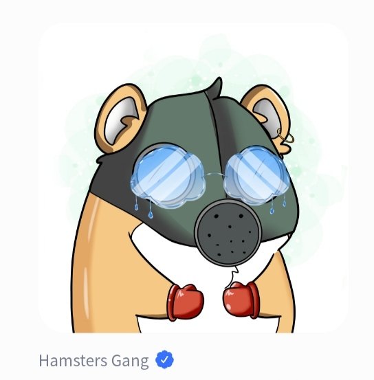 Just minted these two Beautiful Babies😍😍😍

<a href="/Hamsters_Gang/">Hamsters Gang® | SOLD OUT</a> <a href="/tofuNFT/">tofuNFT📛The largest multichain NFT marketplace</a> 

#NFT #GLMR