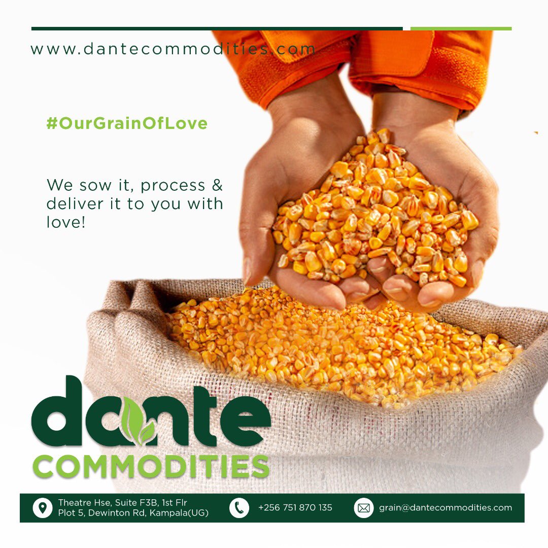 #OurGrainofLove 

We sow it, process & deliver it to you with love ❤️ 

Trust us with your grain needs this February❗️

Call us on: +256-751 870 135
🌐 dantecommodities.com

#DanteCommodities #agricultural  #agriculturalproduce #February2022 #Deliver #sow #farm #agriculture