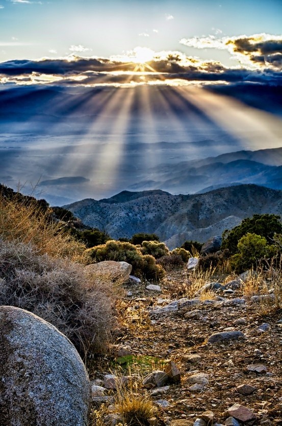 "Hay sombras y oscuros en el mundo, pero la luz los eclipsa."
        #CharlesDickens 

                      🔹
Muy #BuenosDias  Querid@s Amig@s #FelizLunesATodos y un espléndido comienzo de semana!!!