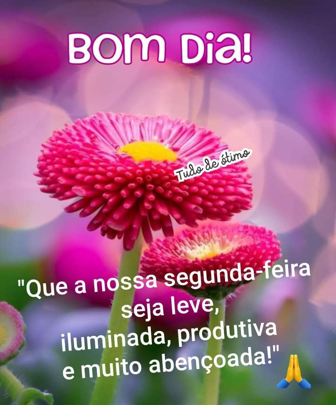 Luciana Castro on Twitter: Luciana Castro on Twitter: