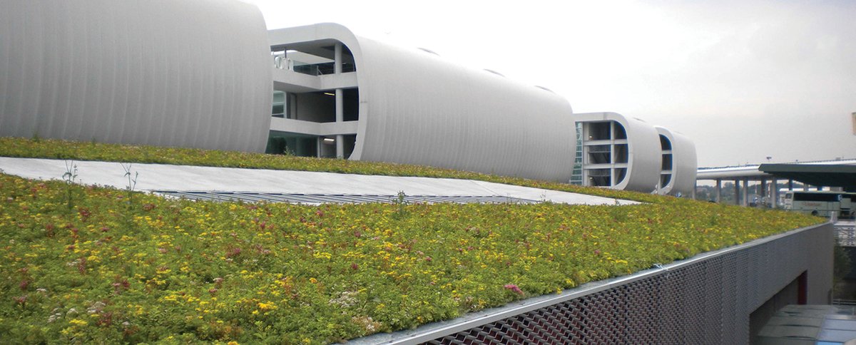 Geoplast's tweet photo. Green roofs are becoming widely used to reduce the effects of climate change. Here are 3 notable green roof projects built with Drainroof and Completa in Italy

https://t.co/sf0AS3QVNC

#Geoplast #sustainableprofitability #greenbuilding #lanscapedesign #landscapearchitecture https://t.co/RRKDG4MPFX