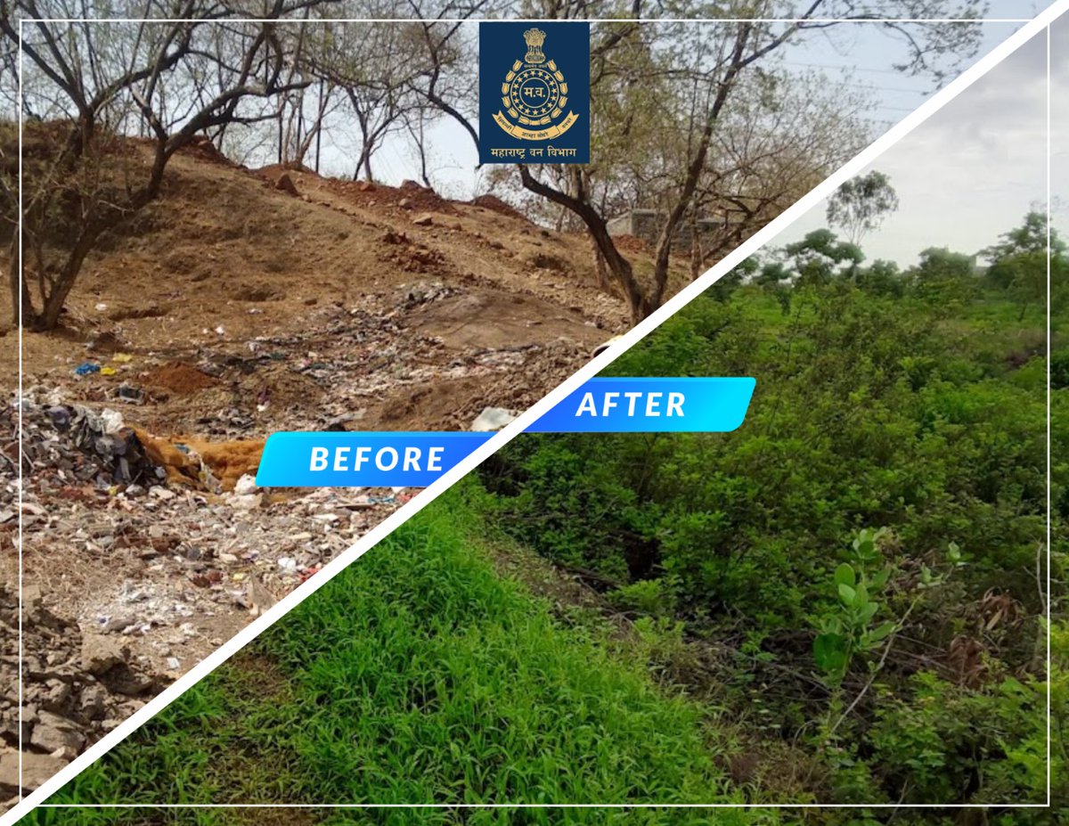 Pune Forest tweet media