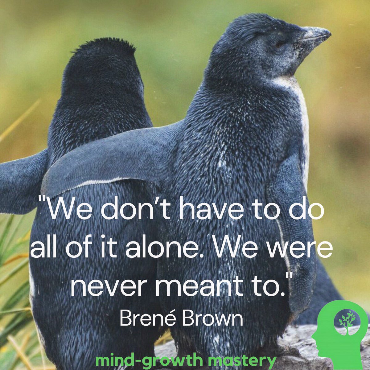 MasteryGrowth's tweet photo. Don't underestimate the power of human connection. Things are tough right now, you don’t have to cope alone:
https://t.co/7NQPU7OMKe
#therapy #counselling #cbt #talking #reachout #support #wellbeing #connection #positivity #mentalhealth #brenebrown #brenebrownquotes #epsom #ewell https://t.co/W7VEjUqLDx
