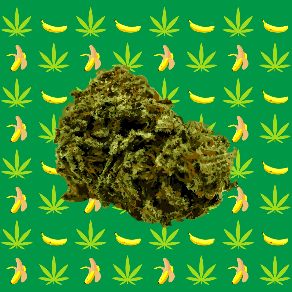 cryptinglabs's tweet image. Monkeys love banana, people love Banana Kush  #HS0009. 🍌🐵🍌🐵

#HempSociety

#NFT #NFTCommunity