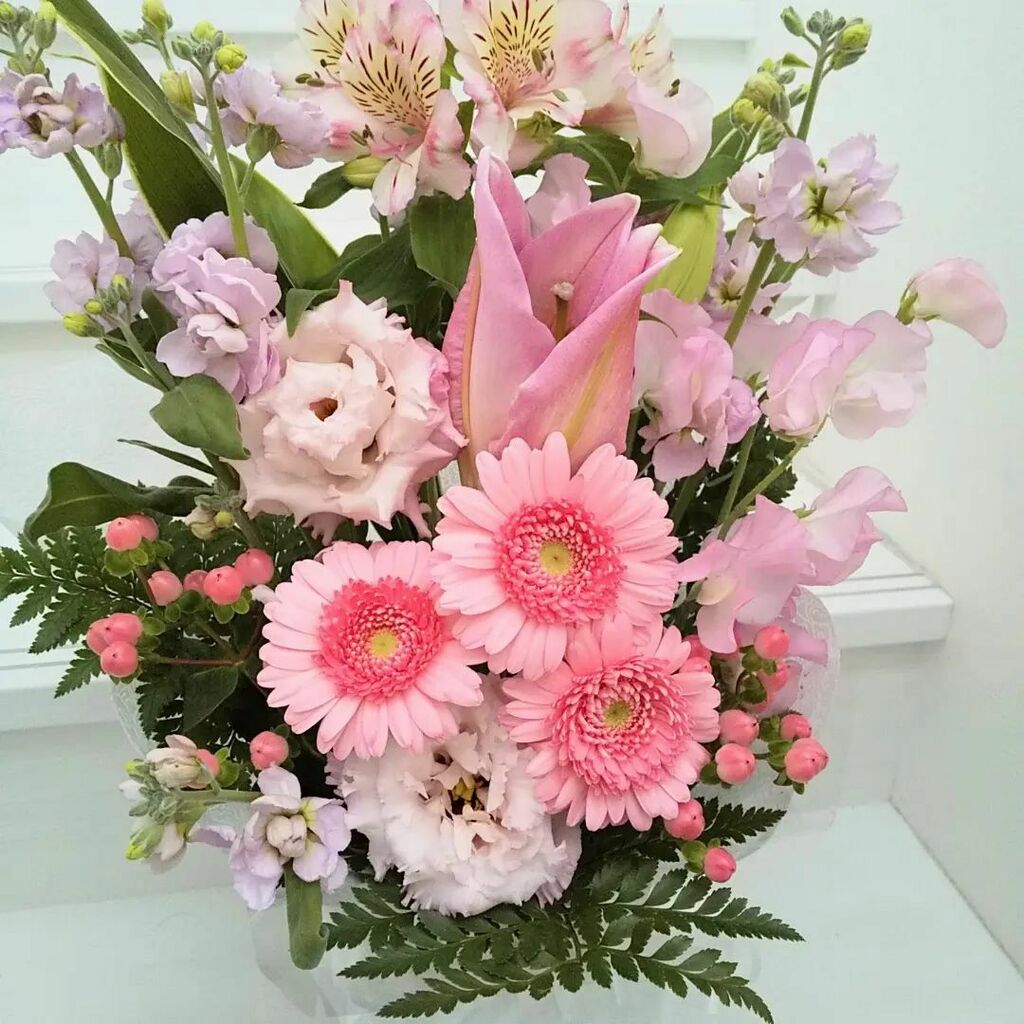 花だより Hanadayori5 Twitter